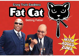 funny-south-africa-fail-16.jpg