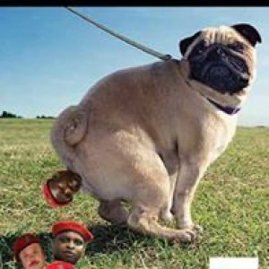the-birth-of-the-eff