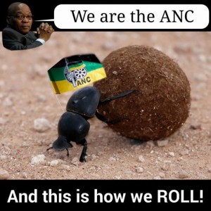 how-the-ANC-roll